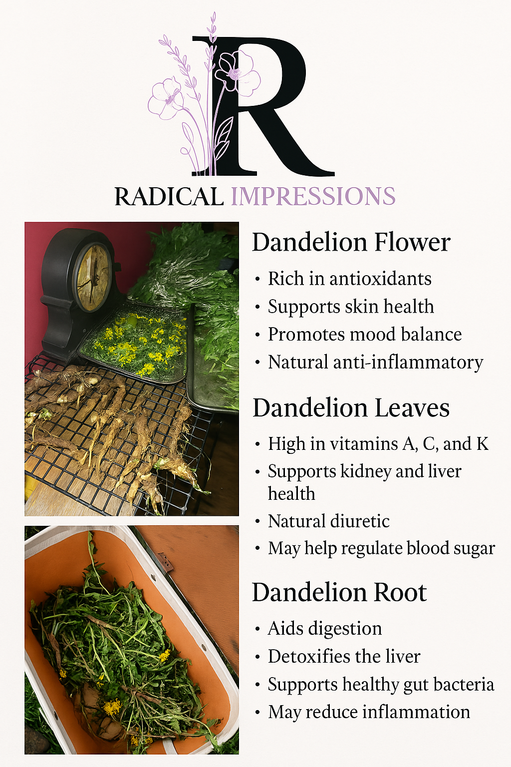 dandelion root tincture